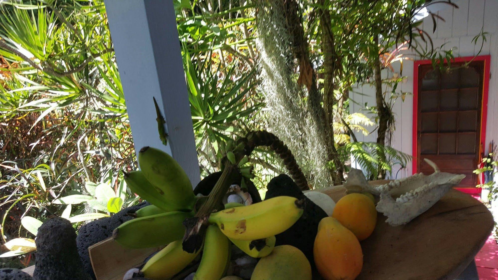 Ma'ukele Lodge Pahoa Eksteriør bilde