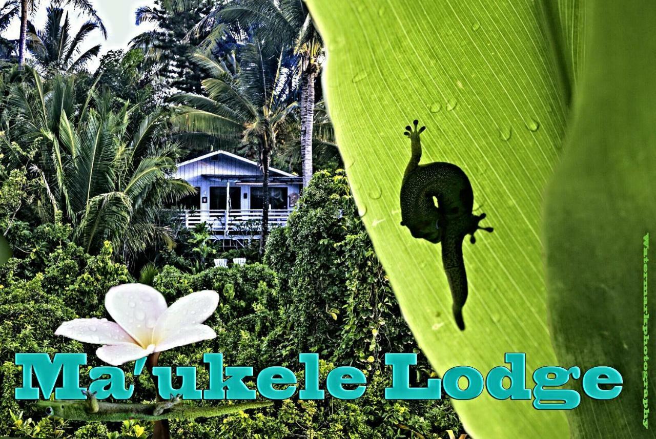 Ma'ukele Lodge Pahoa Eksteriør bilde